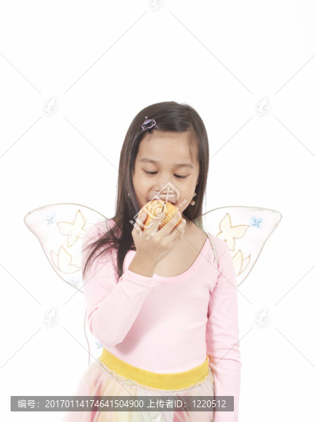 仙女的服裝