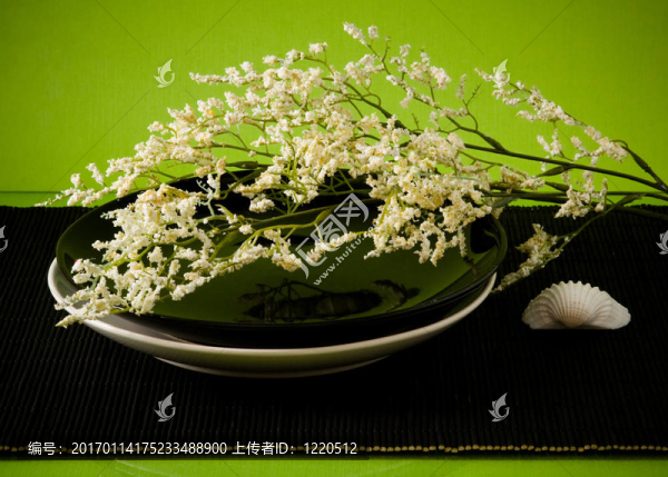 白色和白色的綠色花朵