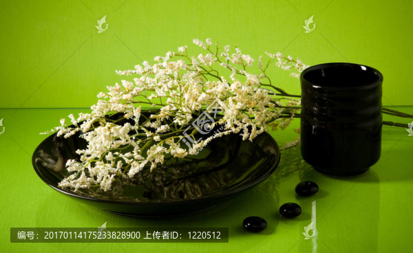 綠色的黑色和白色的花