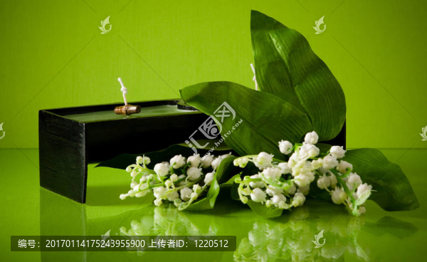 綠色的白色雙花蠟燭