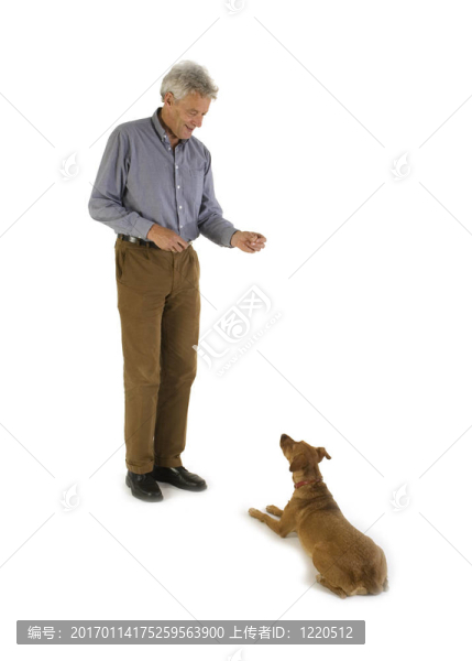 服從