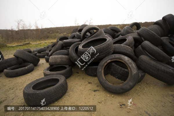在沼澤地上傾倒的舊輪胎