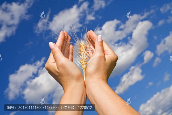 夏天的祈禱