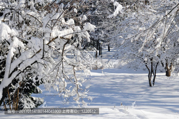 冬季公園