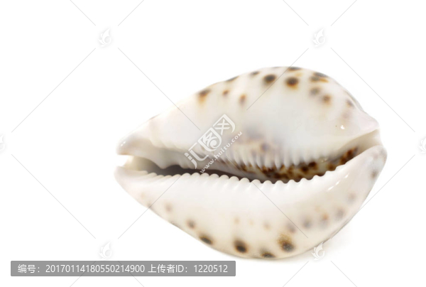 輕舟