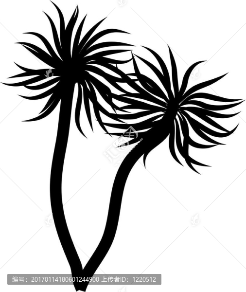棕櫚樹(shù)