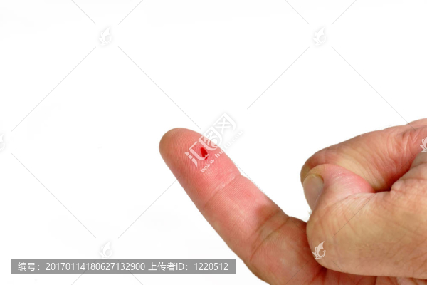 血腥的食指
