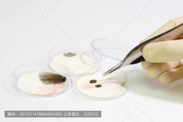 用注射器