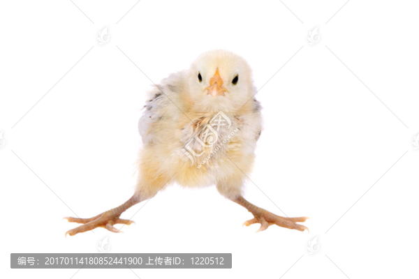 我失去了平衡
