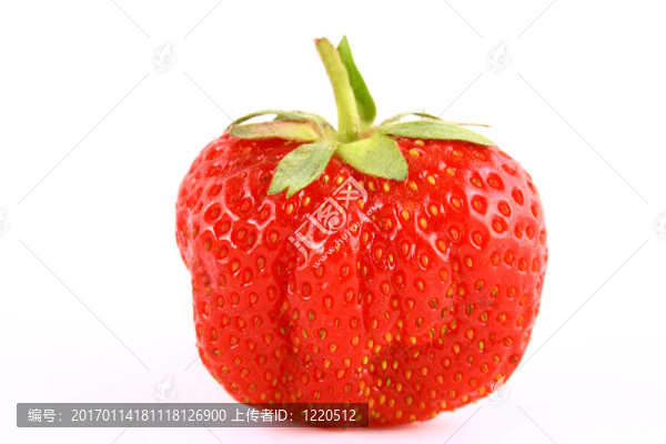 草莓