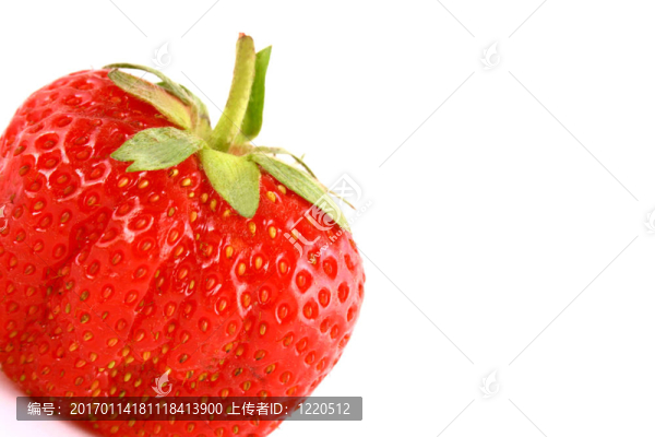 草莓
