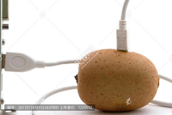獼猴桃通過USB電纜連接