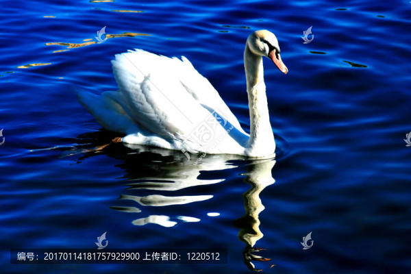 湖心島之美