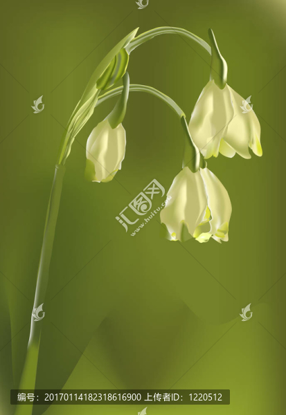 孤獨(dú)的花
