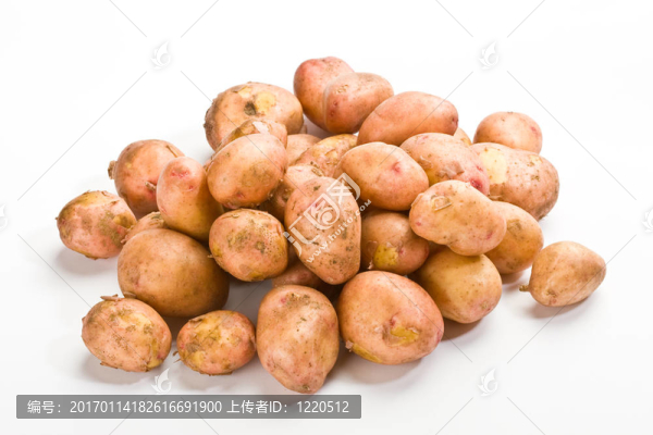 新土豆
