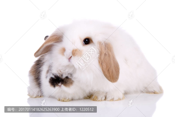 保護我的小朋友