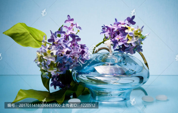 玻璃花瓶和淡紫色的藍(lán)色