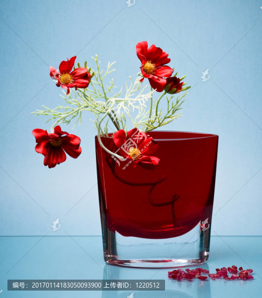 藍(lán)色的紅色花瓶上的精致的花