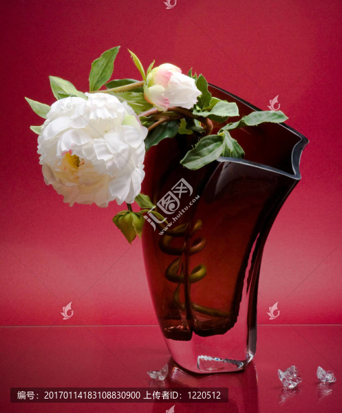 不尋常的玻璃花瓶與優(yōu)雅的白色花在粉紅色