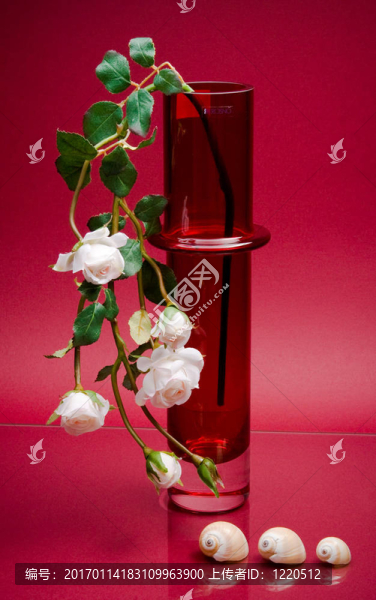 精致的花莖在高玻璃花瓶上粉紅色