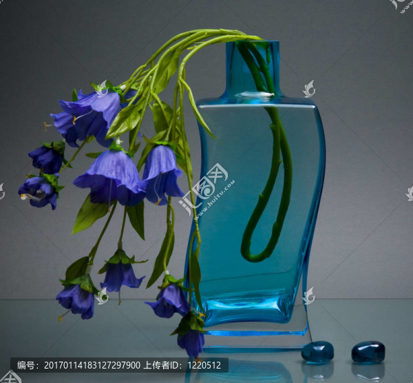 藍色的玻璃花瓶，花上有灰色的小花朵