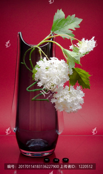 典雅的玻璃花瓶，精致的白色花