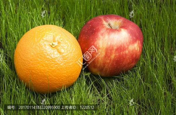 蘋果和橘子在草地上