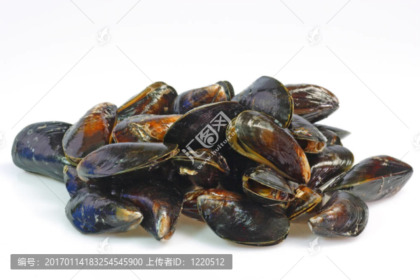 生海鮮