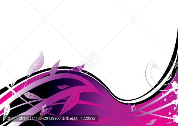紫色的花