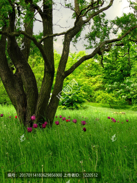 生態(tài)牧場(chǎng)-匯圖網(wǎng) www.fosd68.com 生態(tài)牧場(chǎng)