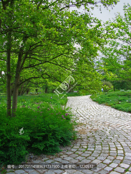 在公園的鵝卵石路