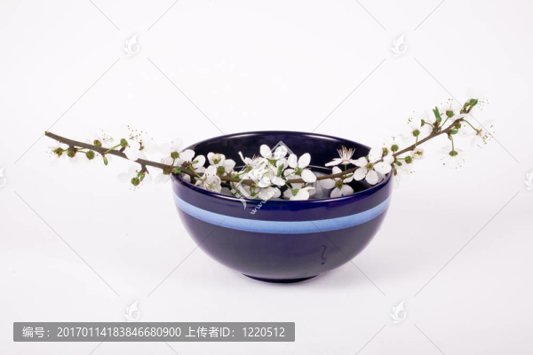 櫻花