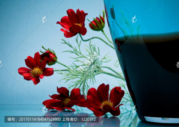 小紅花映在高高的玻璃花瓶上