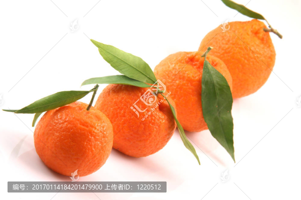 前焦點普通話