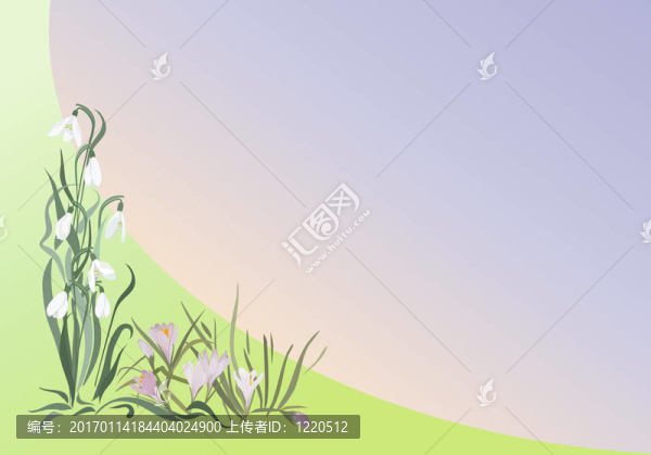 春天的花卡