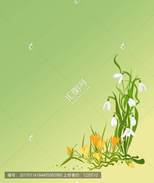 春天的花朵
