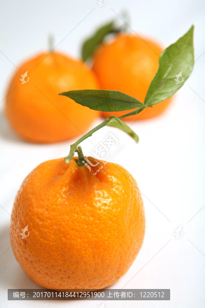 Tangerine夜店與葉宏