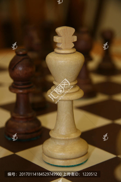 國際象棋皇后