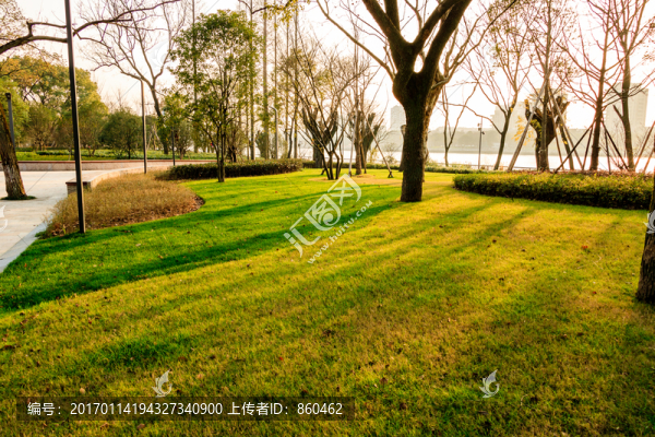 樹木光影,陽(yáng)光,樹林,秋冬景色