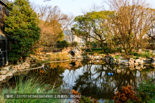 園林景觀