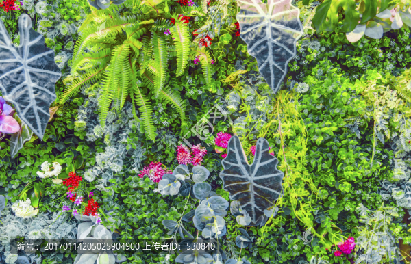 鮮花墻,綠色植物墻