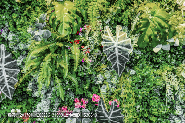 鮮花墻,綠色植物墻