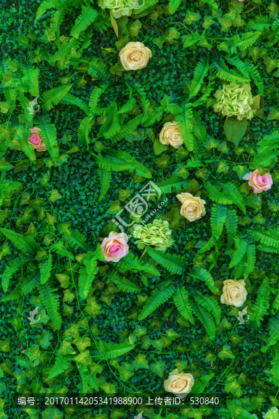 鮮花墻,綠色植物墻