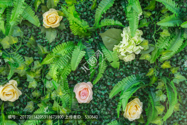 花墻,綠色植物墻