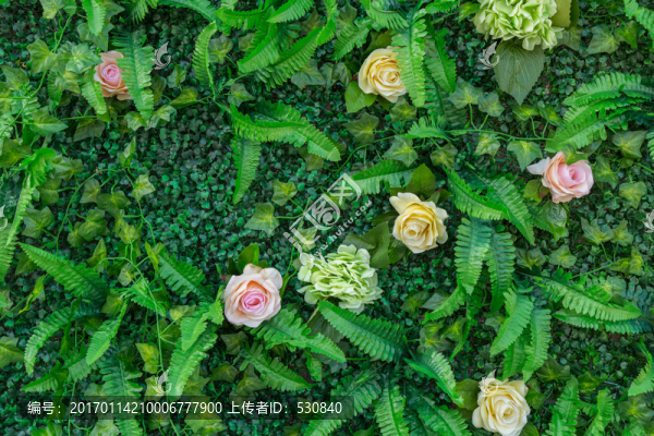 花墻,綠色植物墻