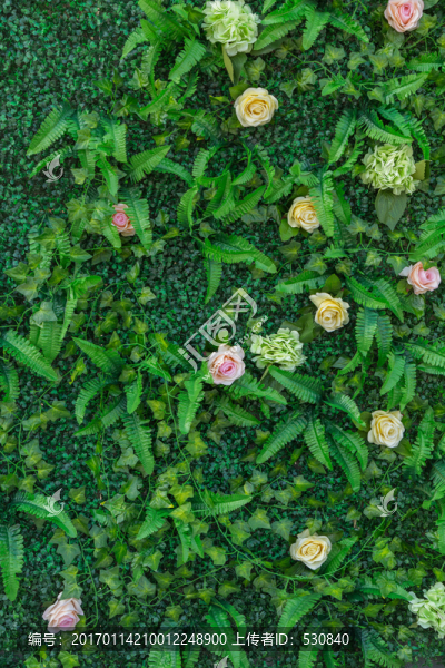 花墻,綠色植物墻