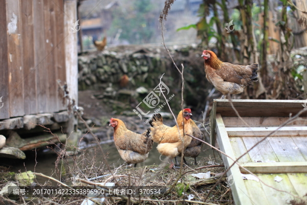 地筍苗寨,湘西,少數(shù)名族,山寨