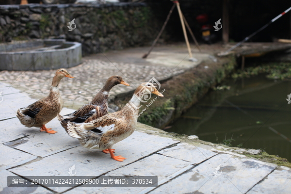 地筍苗寨,湘西,少數(shù)名族,山寨