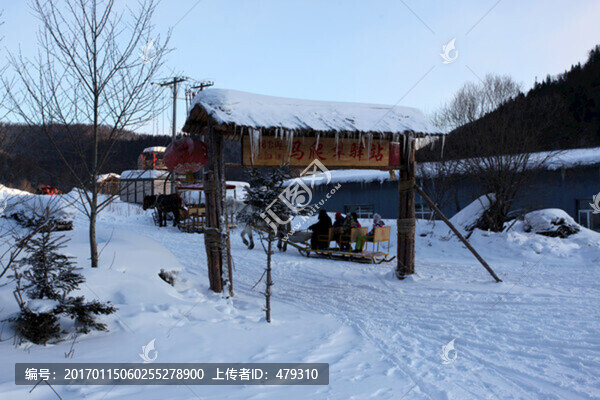 馬,雪橇,馬爬犁,雪地,馬車