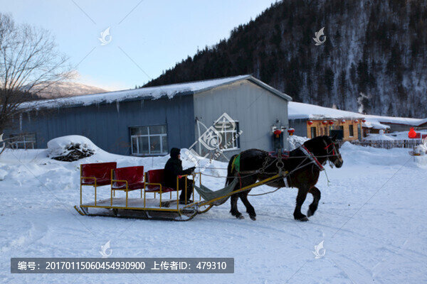馬,雪橇,馬爬犁,雪地,馬車